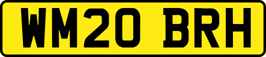 WM20BRH