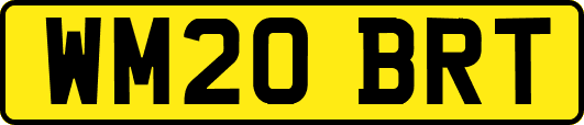 WM20BRT