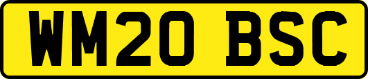 WM20BSC