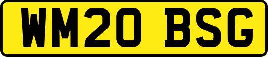 WM20BSG