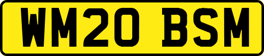 WM20BSM