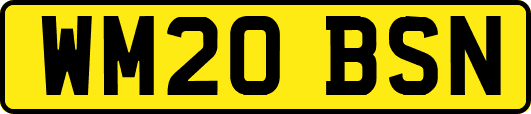 WM20BSN