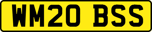 WM20BSS
