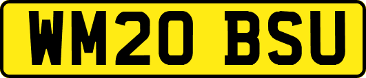 WM20BSU