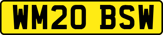 WM20BSW
