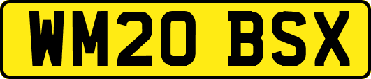 WM20BSX