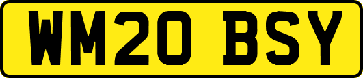 WM20BSY