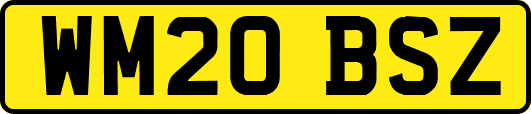 WM20BSZ