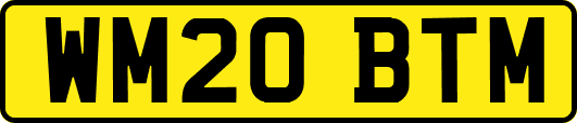 WM20BTM