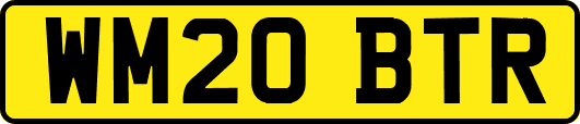 WM20BTR