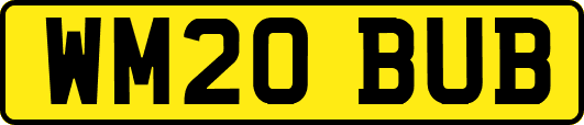 WM20BUB