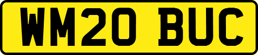 WM20BUC