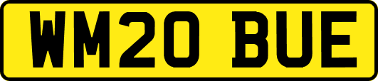 WM20BUE