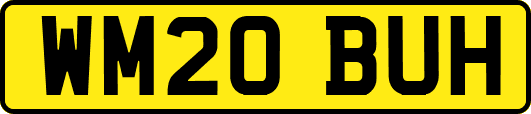 WM20BUH