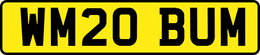 WM20BUM