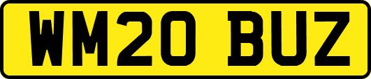 WM20BUZ