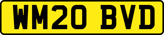 WM20BVD