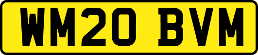 WM20BVM
