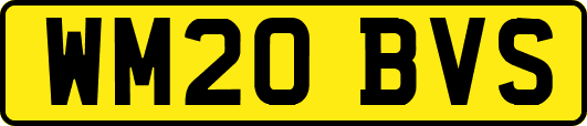 WM20BVS