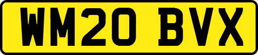 WM20BVX
