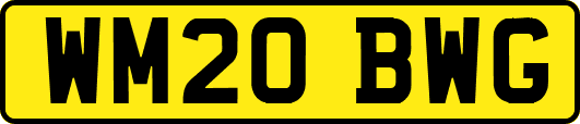 WM20BWG