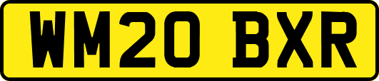 WM20BXR