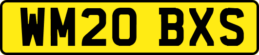 WM20BXS