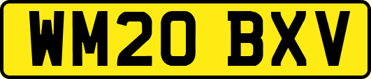 WM20BXV