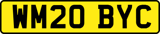 WM20BYC