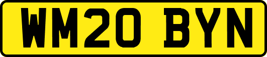 WM20BYN