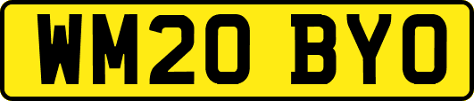 WM20BYO