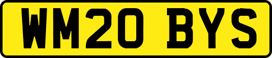 WM20BYS