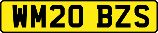 WM20BZS