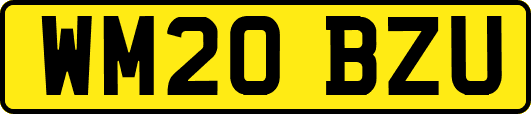 WM20BZU