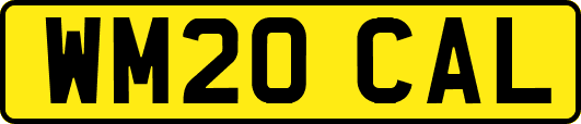 WM20CAL