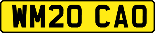 WM20CAO