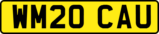 WM20CAU