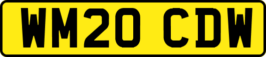WM20CDW