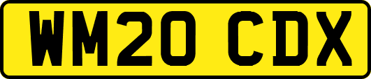 WM20CDX