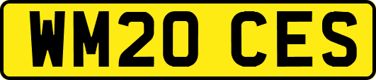 WM20CES