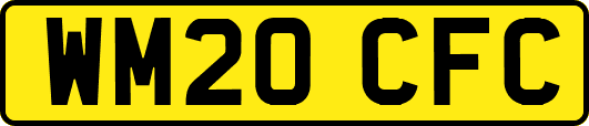 WM20CFC