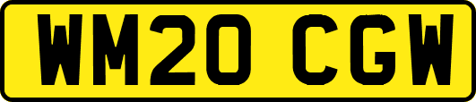 WM20CGW