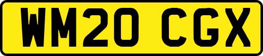 WM20CGX