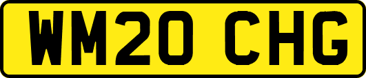 WM20CHG