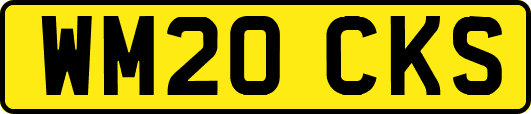 WM20CKS