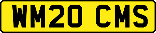 WM20CMS