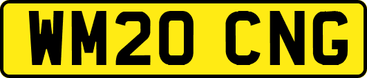 WM20CNG
