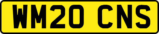 WM20CNS