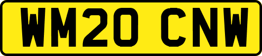WM20CNW