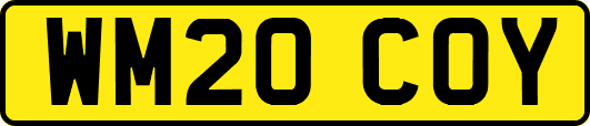 WM20COY